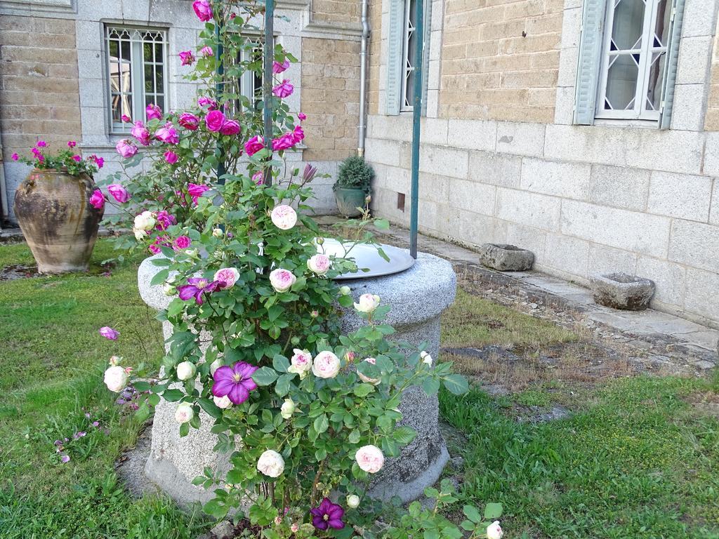 Chateau De Crocq - Chambres D'Hotes De Charme Bagian luar foto